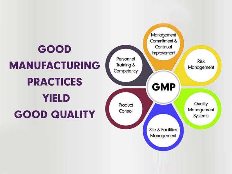 Discussion on Effective Implementation of GMP in Pharmaceutical Enterprises -4