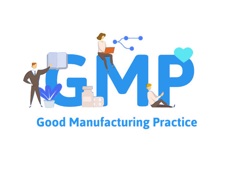 Difference Between GMP And cGMP - 3