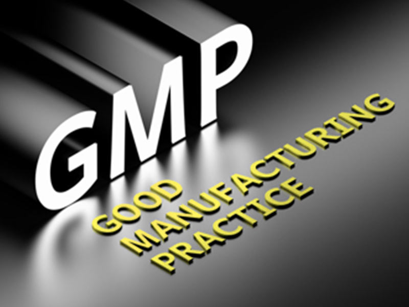 Second One GMP Blog - 8